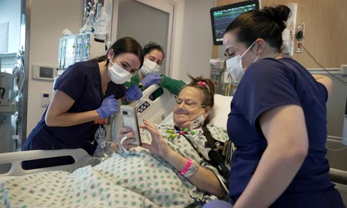 lisa pisano transplant rinichi porc afp jpg