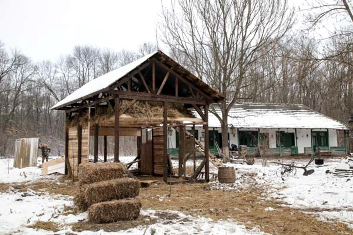 Ferma Vedetelor atrage în cursă 12 concurenţi