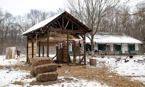 Ferma Vedetelor atrage în cursă 12 concurenţi jpeg