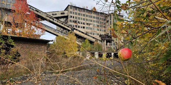 Municipiul Lupeni din Hunedoara  Foto Daniel Guță ADEVĂRUL (16) jpg