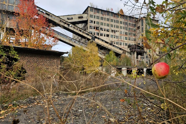 Orașul din România unde lucrau peste 19.000 de oameni. Din marile uzine au mai rămas ruine și un turn uriaș