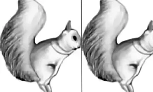 imagine 1 jpg