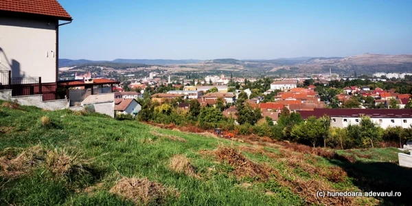terenuri hunedoara foto daniel guta adevarul