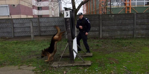 Câinele Ceva la ora de instrucţie alături de plutonierul Marius Budai