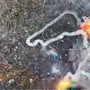 Screenshot 2026 04 14 191509 jpg