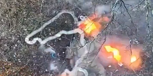 Screenshot 2026 04 14 191509 jpg