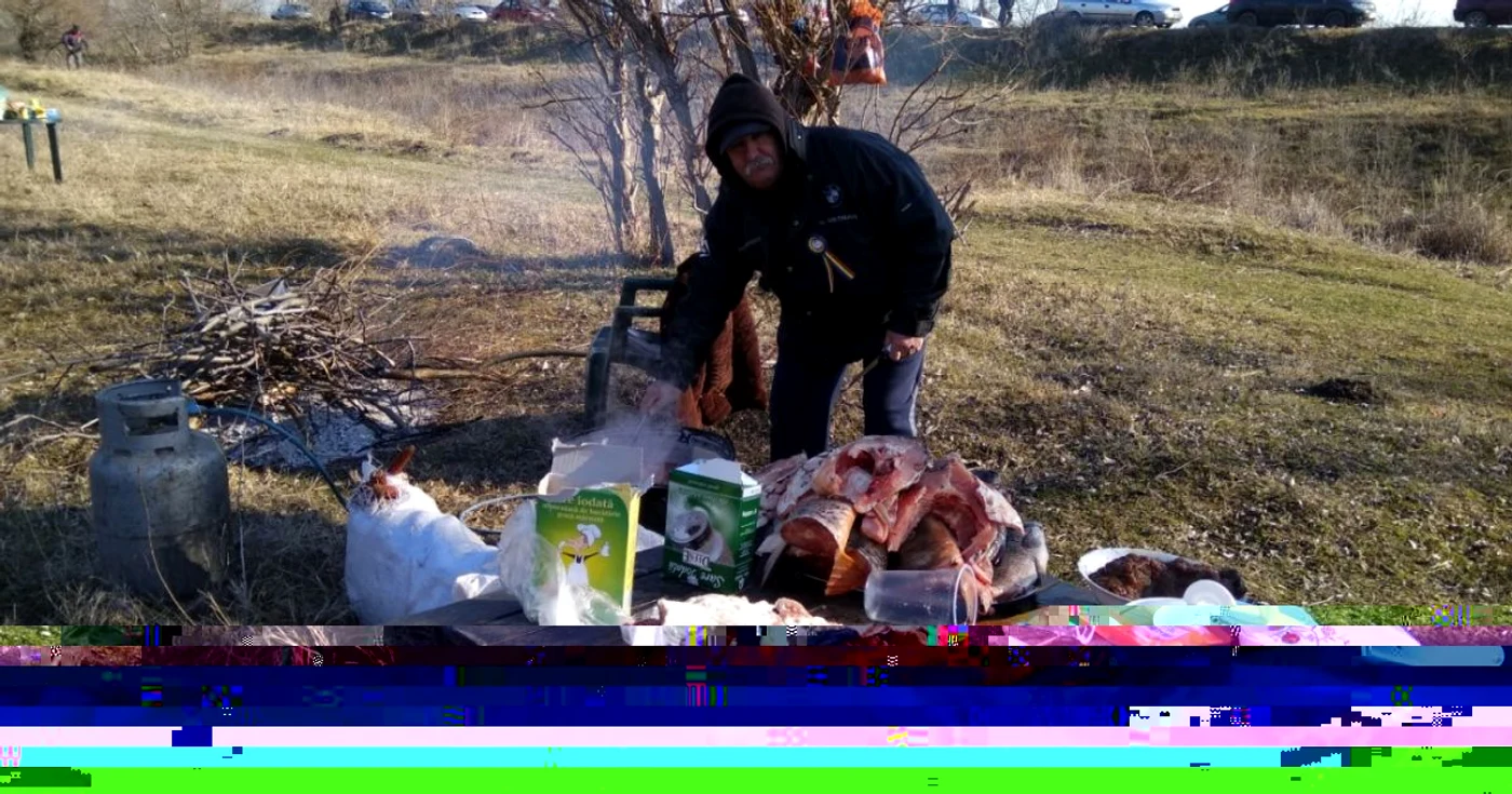 zarezan foto florina pop