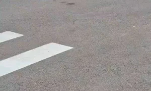 WhatsApp Video 2026 07 30 at 20 13 20 mp4 thumbnail png