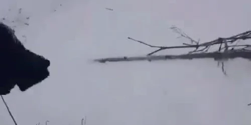 5ab759fddf52022f75fe9feb jpg