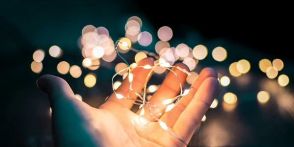 instalatie luminite led fairy lights foto shutterstock