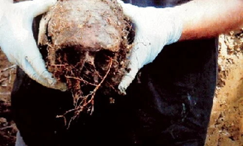 Expoziția ”Numitorul comun: Moartea” are vernisajul vineri la MȚR jpeg