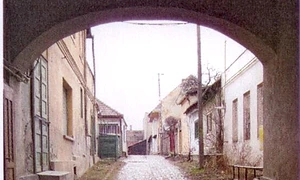 "Curţile" din Tîrgu Secuiesc un centru de oraş jpeg