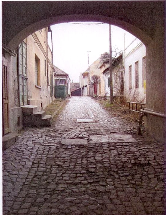 "Curţile" din Tîrgu Secuiesc un centru de oraş jpeg