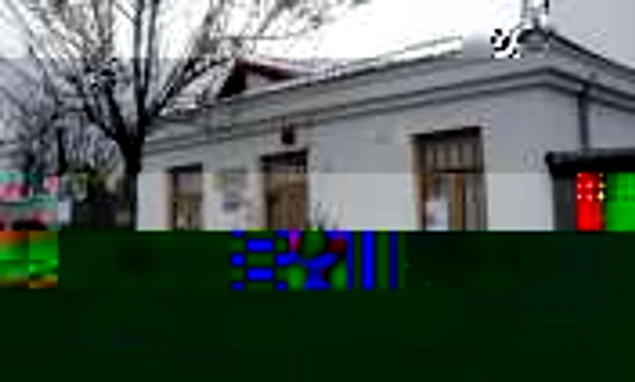 braila foto sanda visan