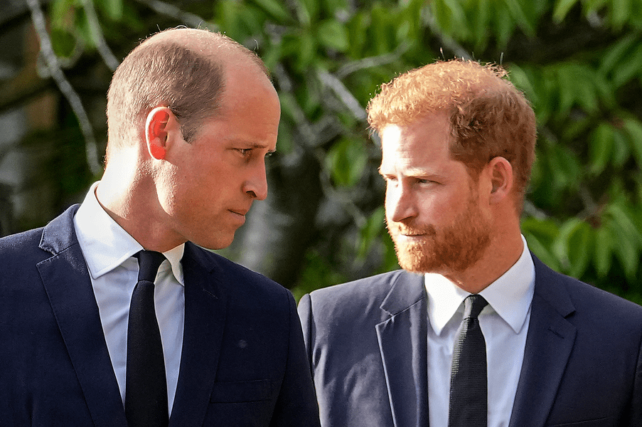 Confesiunile Prințului Harry, episodul 4. Cum s-a născut rivalitatea față de William