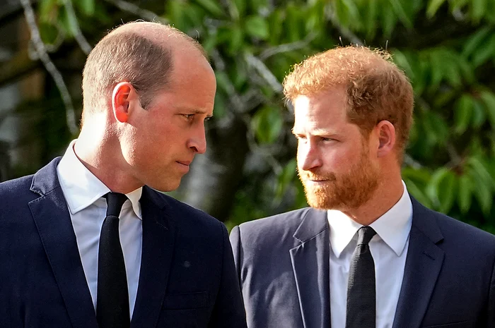 Harry a resimțit o rivalitate permanentă în raport cu fratele său, William FOTO Profimedia