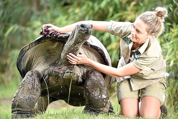 
    Focoasa blondă i-a intrat ţestosului în voieFoto: Guliver/Rexfeatures    