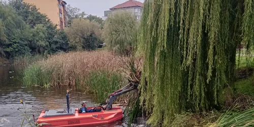 Balta Lămâița FOTO Primăria Timișoara jpg