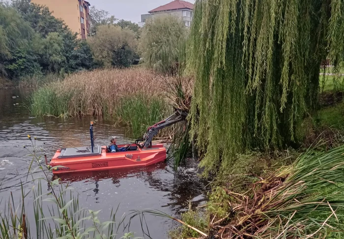 Utilajul adus pe baltă FOTO Primăria Timișoara