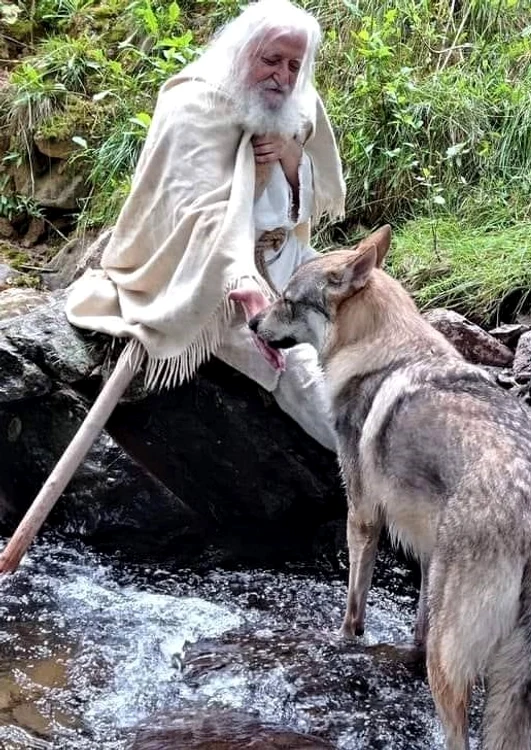 Secvențele în care s-a folosit o specie de câine pe jumătate lup FOTO Arhiva personală