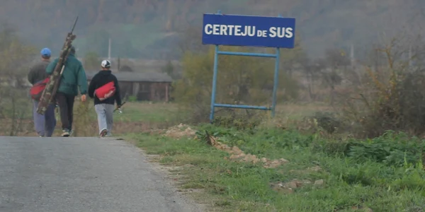 certej
