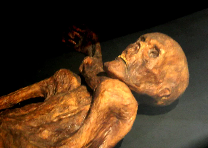 Omul preistoric al gheţurilor, Otzi FOTO: Wikipedia