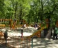 pădurea crihala din turnu severin FOTO Alexandra Georgescu