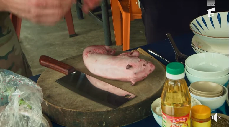 Luptă pentru imunitate, în cea mai spectaculoasă misiune din actualul sezon Asia Express. Cine are Jokerul