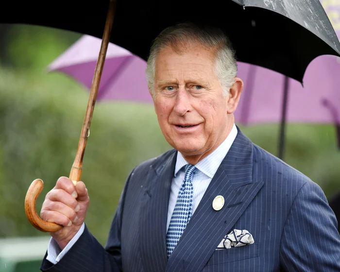 Regele Charles al III-lea. FOTO Shutterstock