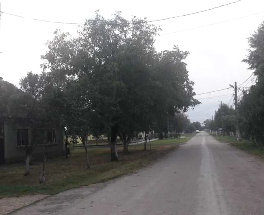Satul Albina împlineşte 95 de ani 