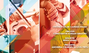 Un concert al Orchestrei de Cameră Radio în Grădina ParkLake jpeg