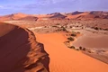 namib desert