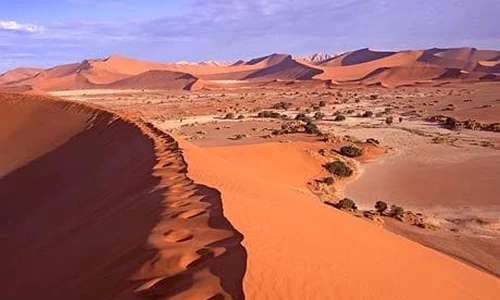 namib desert