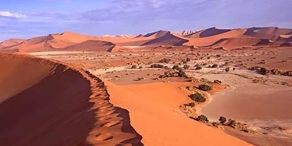 namib desert