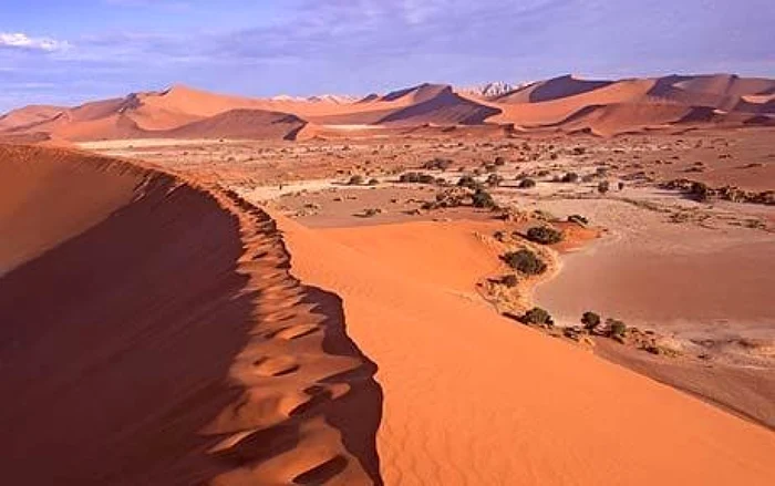 namib desert