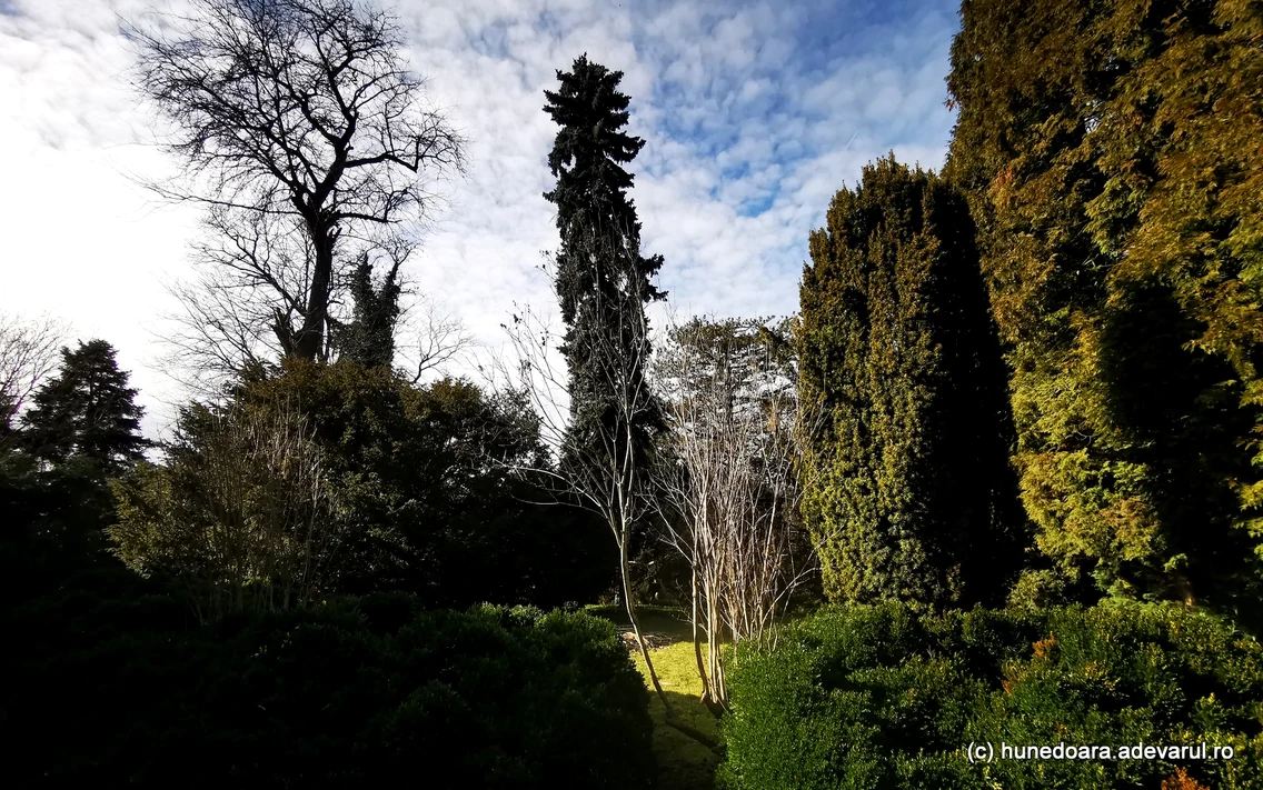 Parcul Dendrologic din Simeria  Foto Daniel Guță ADEVĂRUL (52) jpg