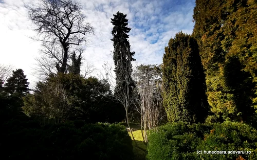 Parcul Dendrologic din Simeria  Foto Daniel Guță ADEVĂRUL (52) jpg