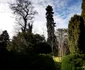 Parcul Dendrologic din Simeria Foto Daniel Guță ADEVĂRUL (52) jpg