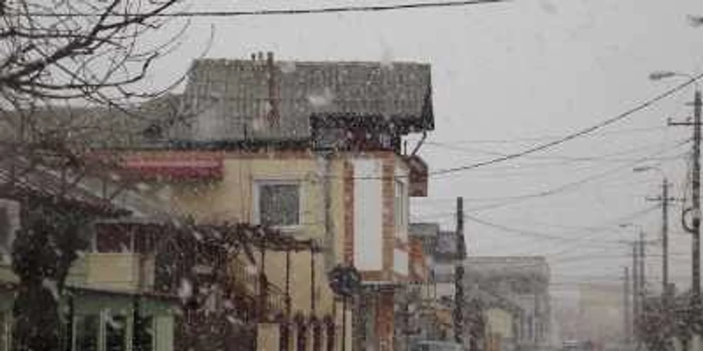 Ninge la Constanţa FOTO M.I.
