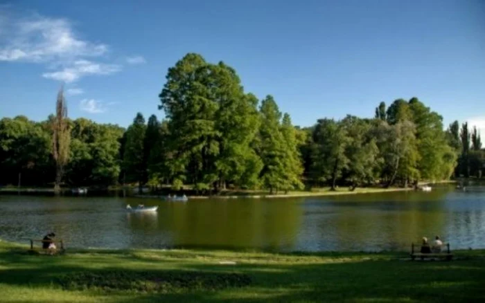 Podul suspendat din Parcul Nicolae Romanescu av fi reabilitat 