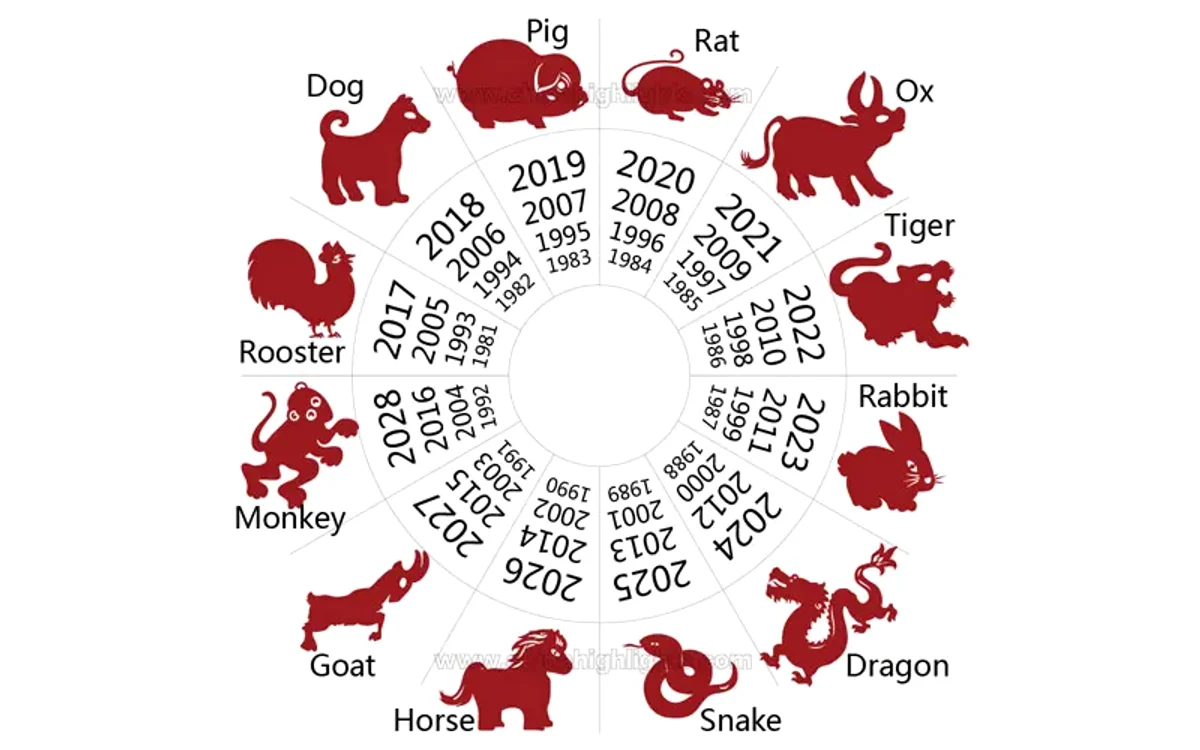 Cele 5 tipuri de personalități din Feng Shui