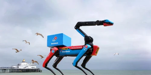 0 PinPep PizzaDog 240625 039JPG webp
