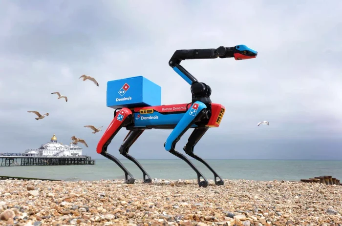 Câine-robot pe litoral: livrează pizza și păzește comanda de hoți înaripați