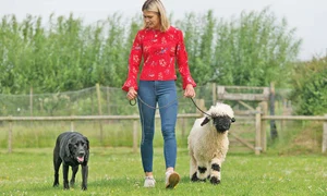 24 foto6 90 90 profimedia 0453467253 jpeg