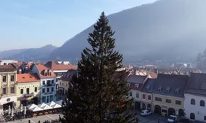 brad brasov jpg