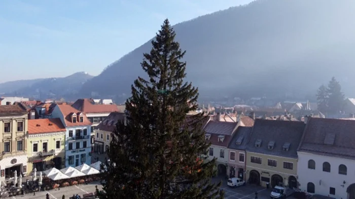 Este cel mai înalt brad de Crăciun din România / foto: observatornews.ro
