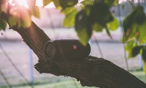 oOkWlBcYM9kquA3x9bn9A wS455duN0U7Hz2FDz3Oq5vFEfDCK457YM8fg2CHlDXF9yxRNdprqOt1PHMiq8G4vHZ7p8 0E5FQ1V z2byjlLHELTM B5xvRDgs7dz VMgbOYCZxwCSzMg53fL62ryfIE