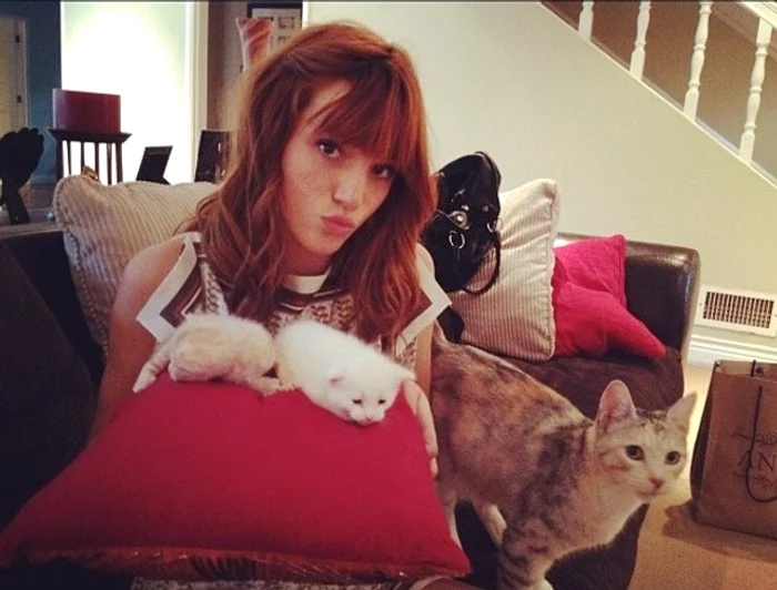 bella thorne iubitoare de pisici jpeg