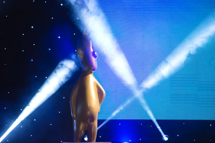 79 de producții românești lansate în 2018 vor intra în cursa pentru nominalizările la Gala Premiilor Gopo 2019