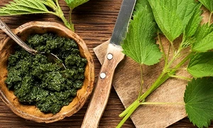 1 urzici cu smantana jpg jpeg